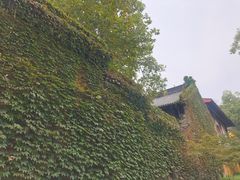 -灵谷景区