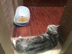 -驭力搏击健身(张江高科店)