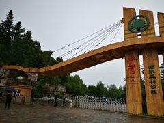 -五营红松林海景区