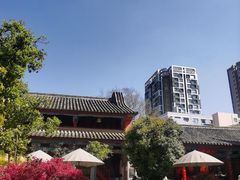 -真庆观