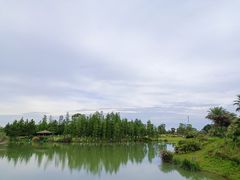 -瑶湖郊野森林公园