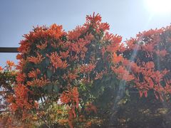 -中国移动南方基地