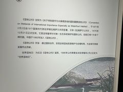 -中国湿地博物馆