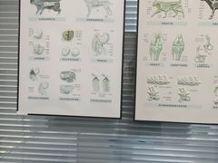 -动物缘宠物医院·骨科·猫科(西二环店)