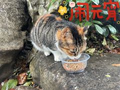 -静安公园(静安寺街道)