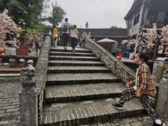 -茯茶镇