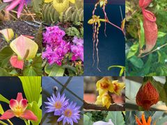 -国家植物园南园