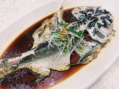 清蒸四海胖头鱼-雅和生态渔庄·宜城锅巴饭(龙灵山公园店)