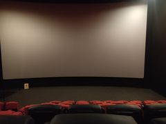 -金逸影城(武汉人信汇IMAX店)