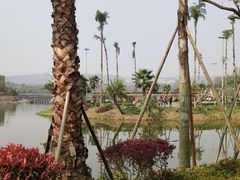 -枫香湖儿童公园