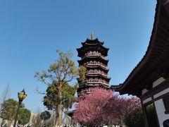 -洋湖国家湿地公园