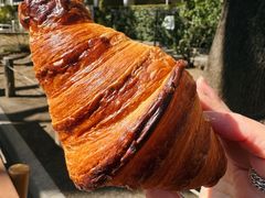 -Pain des Philosophes