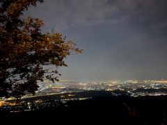 -紫金山山顶公园