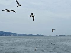 -悦海公园
