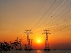 -宝安西湾红树林湿地公园