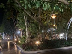 -碧水湾温泉