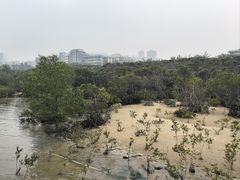 -霞山观海长廊