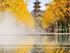 -龙华素斋(龙华路店)