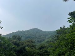 -北京西山国家森林公园