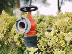 -洋湖国家湿地公园