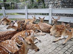 -北京野生动物园