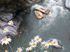 -太鲁阁公园