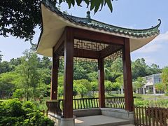 -王借岗森林公园