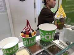 -Salud撒露欧洲冻酸奶(蓝色港湾店)