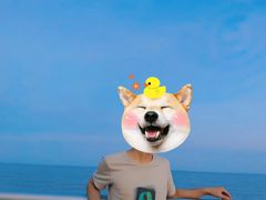 -奉贤海滩