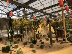 -南宫五洲植物乐园