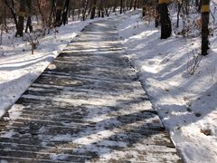 -帽儿山国家森林公园