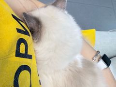 -联合动物医院(光谷诊疗中心)