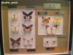 -上海昆虫博物馆