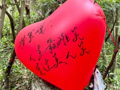 -将军关探险漂流