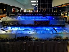 -星海汇海鲜烤肉火锅自助(二七广场百年德化店)