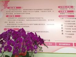 点击看大图 -产后帮产后修复(首城国际店)