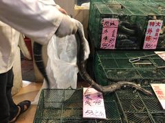 -荔城生鲜盛宴(番禺旗舰店)