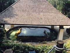-天目湖涵田半山温泉
