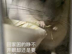 -派联宠物医院·24h·CT·异宠