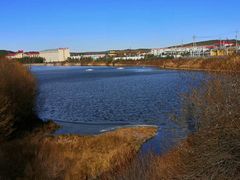 -塞罕坝国家级自然保护区