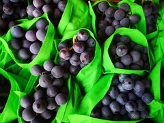 -大连果菜批发市场