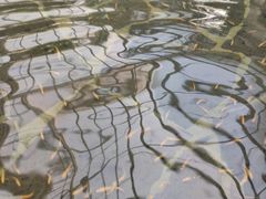 -龙达温泉生态城