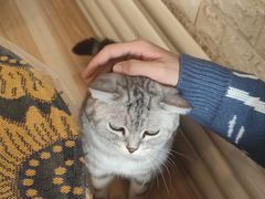 -平行世界·猫咖(首经贸店)