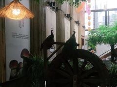 -大理董·董家小厨野生菌火锅(古城旗舰店)