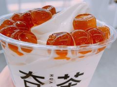 高山乌龙冰淇淋-夻茶HUATEA(水晶郦城店)