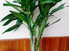 -庄河步云山羊汤(椒房店)