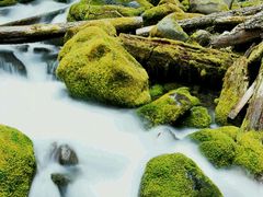 -太平洋电影城(洋洋百货店)