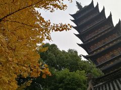 -常熟方塔园
