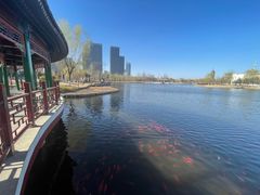 -西海子公园
