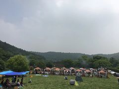 -龙寺生态园